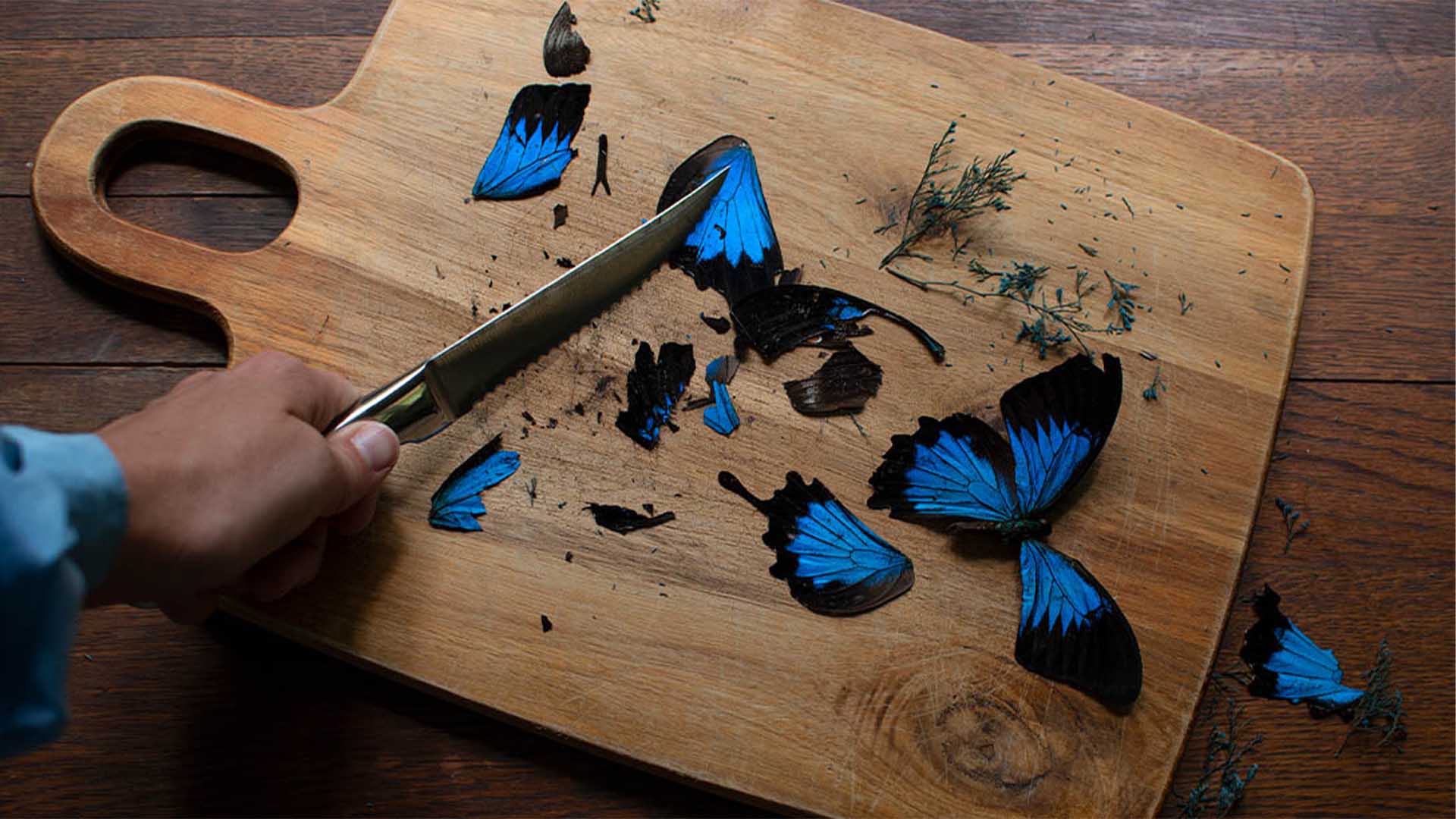 a blue butterfly on a cutting board